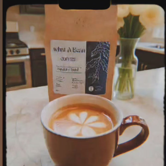 Whatabeancoffee-DQu93zzkuZ0.mp4